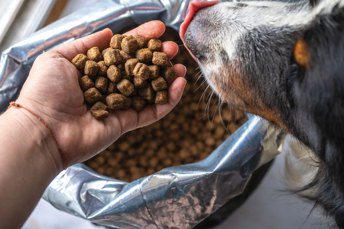 Large-format pet food packaging